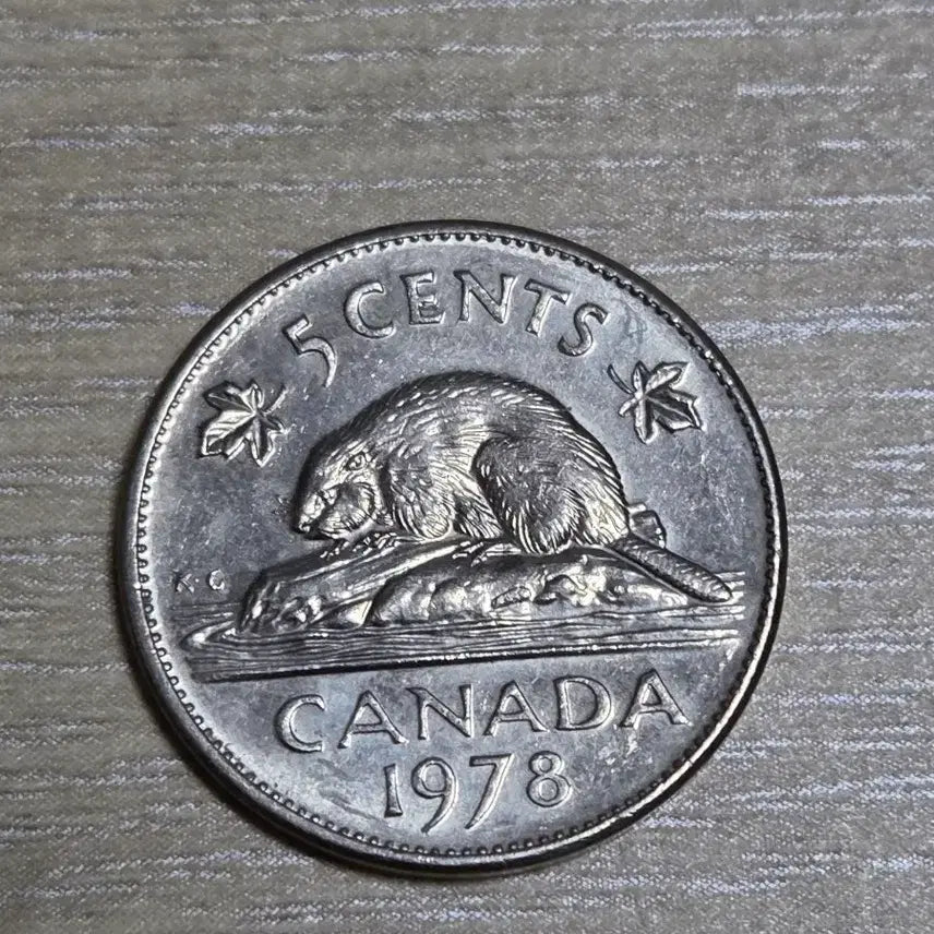 [BUNJANG] 1978 Canada 5 Cent Coin / 1978년 캐나다 5센트 동전