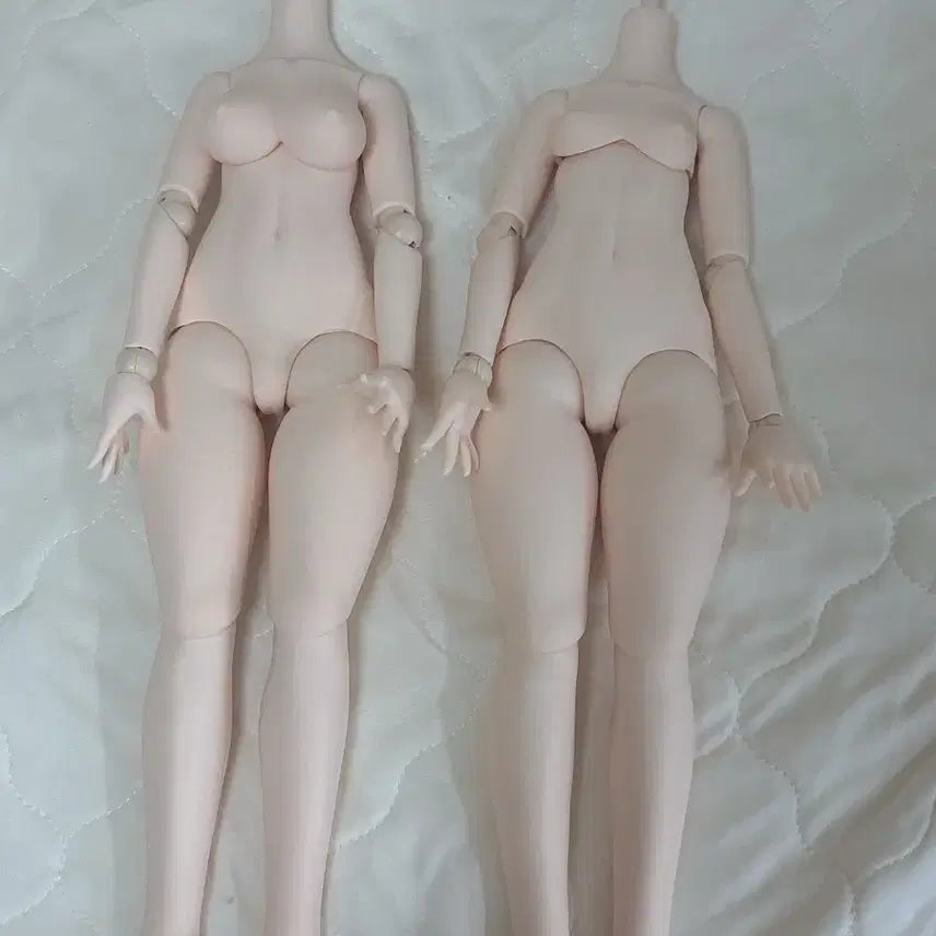 [BUNJANG] Imomodoll MDD Body / imomodoll 이모모돌 mdd 바디 양도합니다