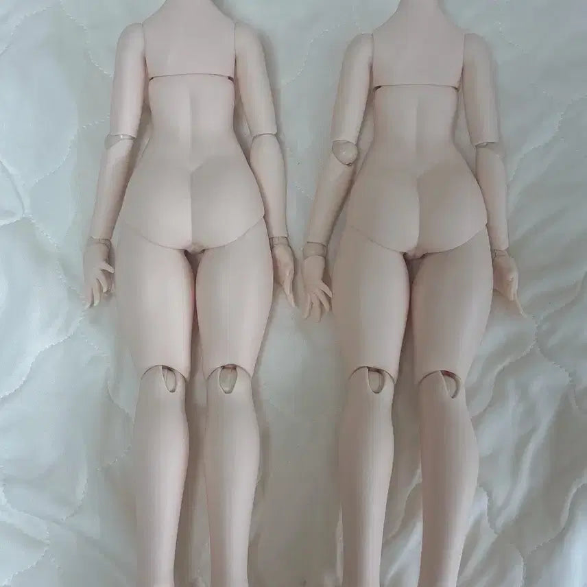 [BUNJANG] Imomodoll MDD Body / imomodoll 이모모돌 mdd 바디 양도합니다