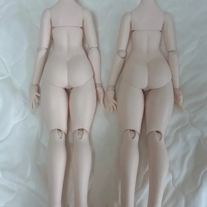 [BUNJANG] Imomodoll MDD Body / imomodoll 이모모돌 mdd 바디 양도합니다