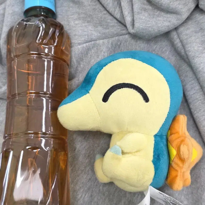 [BUNJANG] Pokemon Cyndaquil Plush Doll 2015 Dolls "Super Secret Base" Theme / 고전 포켓몬 브케인 인형 비밀기지 슈퍼비밀기지 누이 2015 돌즈