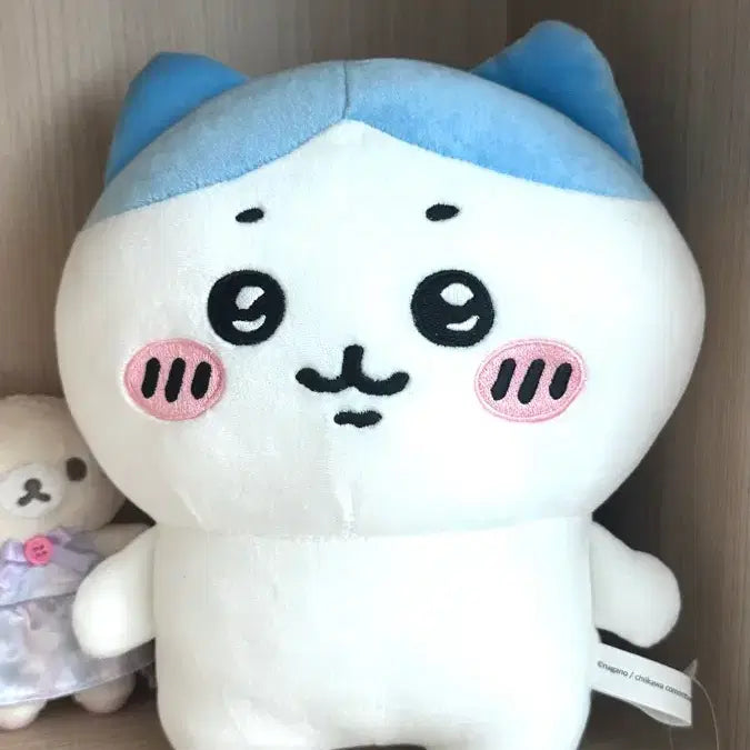 [BUNJANG] Hachiwara 25cm Plush Doll / 하치와레 봉제인형 25cm