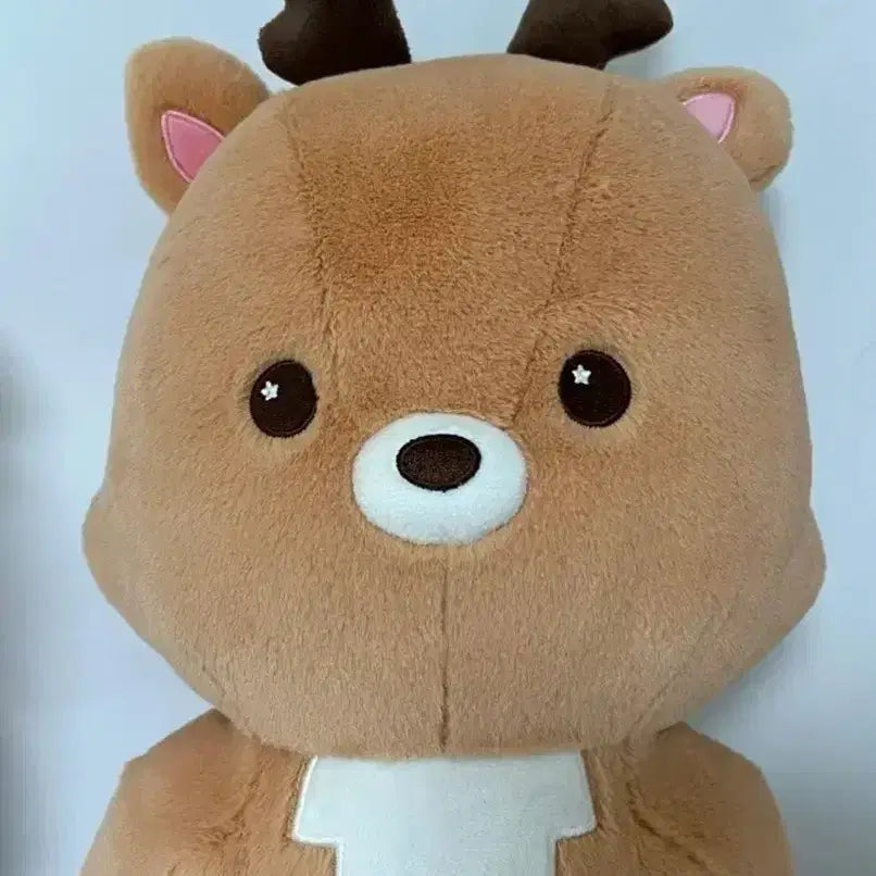 [BUNJANG] Woorakbam 40cm Doll / 우락밤 40cm 양도