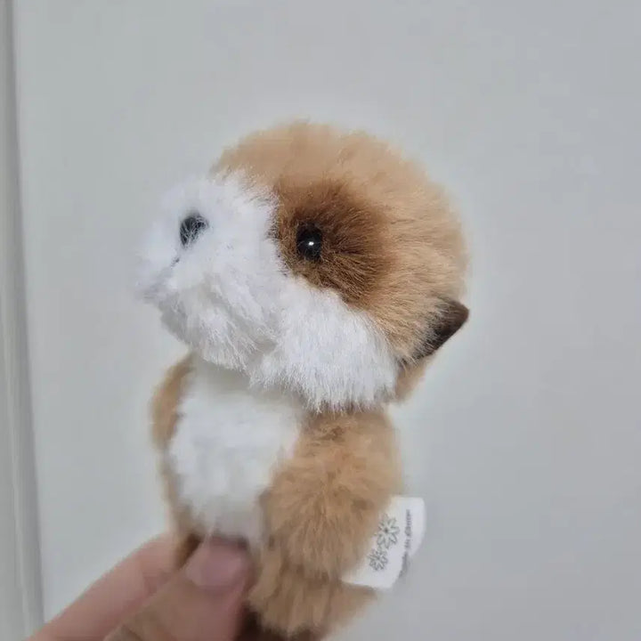 [BUNJANG] Meercat Vintage Doll Character / 미어캣 빈티지 인형 캐릭터