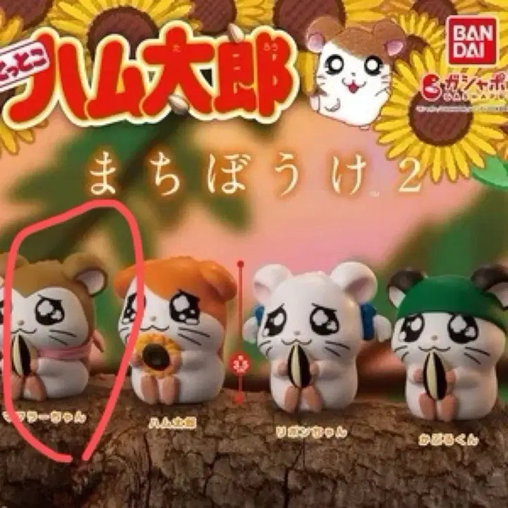 [BUNJANG] Hamtaro Machiboke Muffler Gacha / 방가방가 햄토리 마치보케 머플러 가챠
