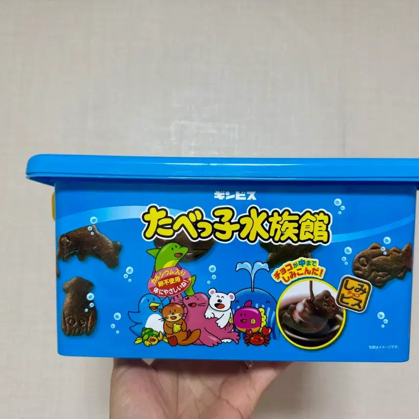[BUNJANG] Tabeko Dobutsu Plastic Storage Container Box / 일본 타베코 도부츠 컨테이너 수납박스