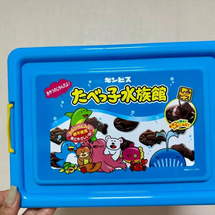 [BUNJANG] Tabeko Dobutsu Plastic Storage Container Box / 일본 타베코 도부츠 컨테이너 수납박스