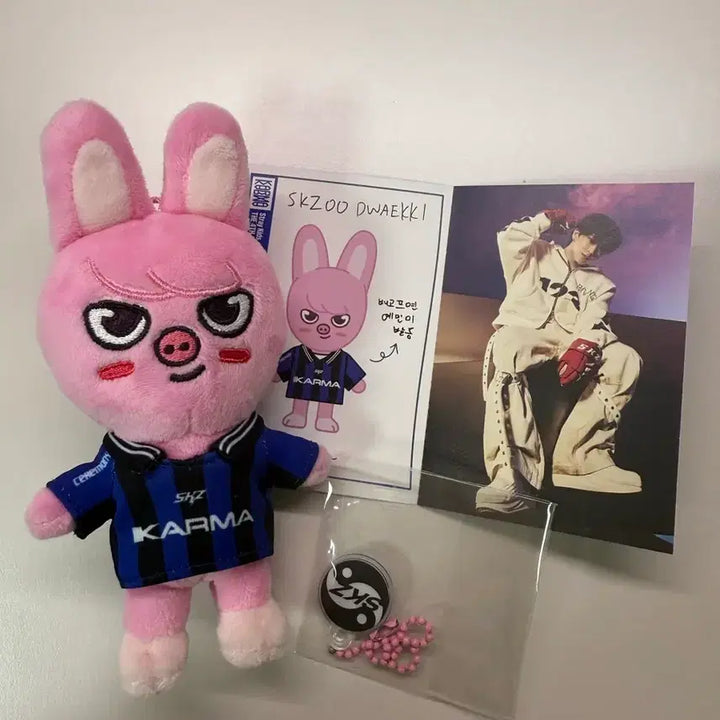 [BUNJANG] Stray Kids Changbin Karma Dwaekki Doll / 스트레이키즈 스키즈 스키주 카르마 돼끼 창빈 인형 양도