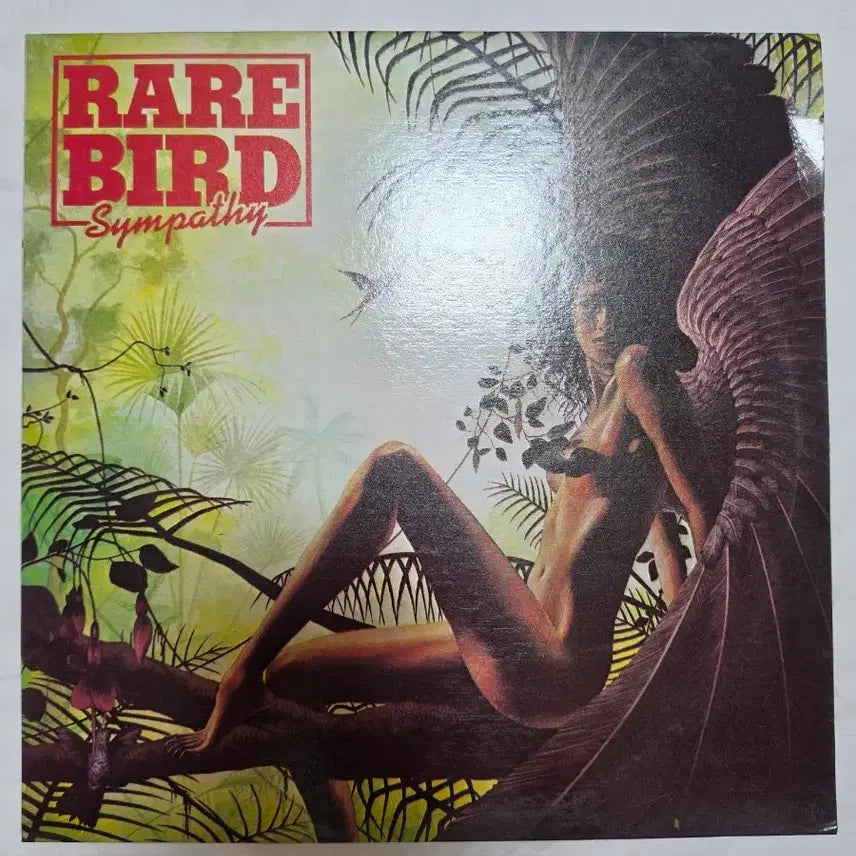 [BUNJANG] Rare Bird Sympathy LP / 레어 버드 Sympathy LP