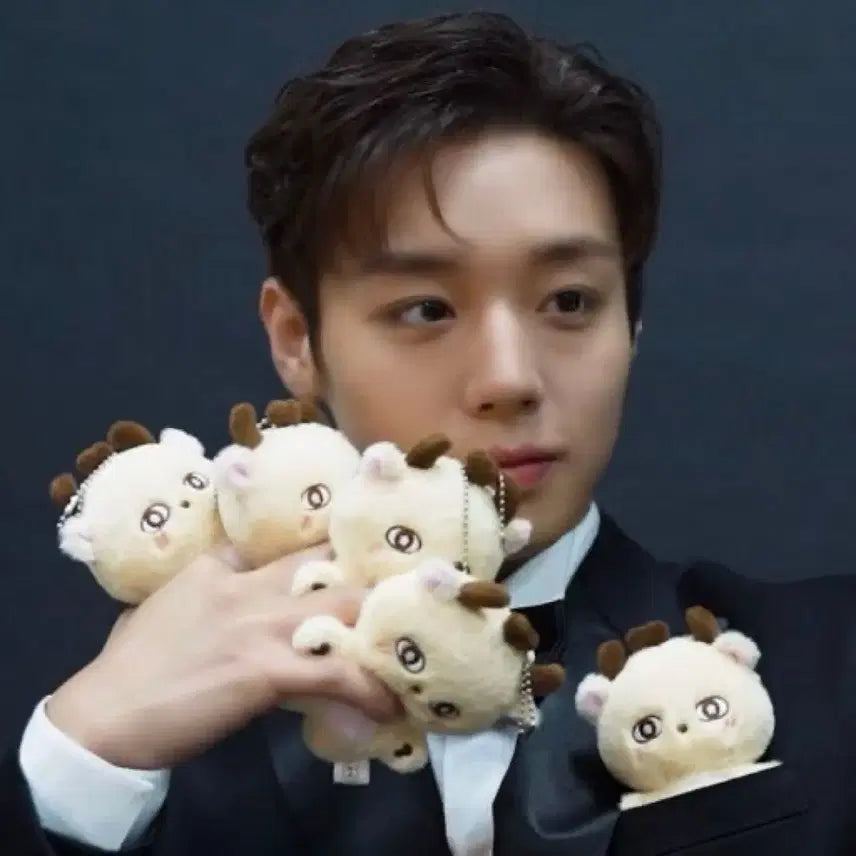 [BUNJANG] Park Jihoon Sosimi Doll Sealed (with Photocard) / 박지훈 소심이 인형 *미개봉* (포카 포함)