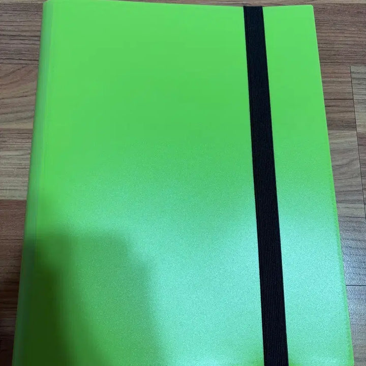 [BUNJANG] Basilisk Sleeve Binder Album (Green) / 포켓몬카드 슬리브 바인더(초록)