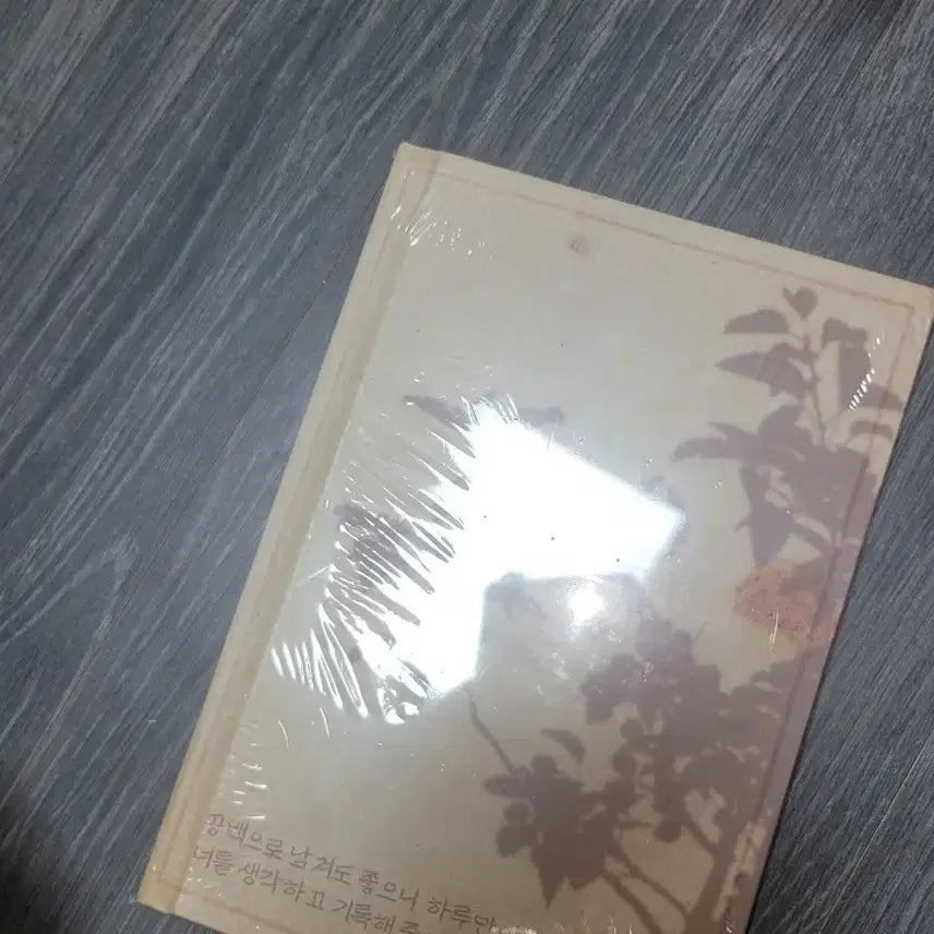 [BUNJANG] Ryu Hyun-jun Blank Diary / 류현준 공백 다이어리 팝니다