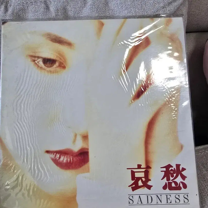 [BUNJANG] Kim Wan Sun 5th &amp; 6th Album LP Bundle Set (Sealed) / 미개봉 김완선 lp 2종 일괄
