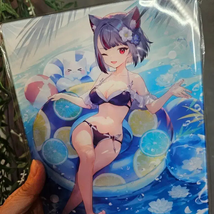 [BUNJANG] Stellive Large Acrylic Stand / 여름휴가 특가 스텔라이브 아크릴 스탠드   큰사이즈