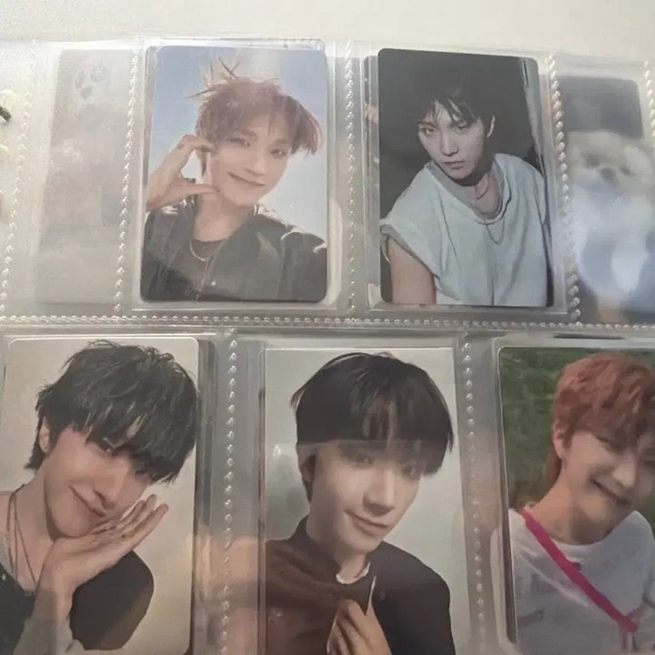 [BUNJANG] BOYNEXTDOOR Yunhak Photocard / 보넥도 운학 포카 양도 판매