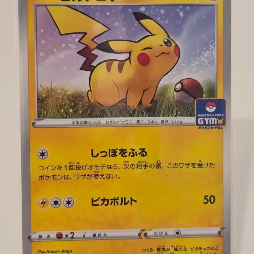 [BUNJANG] Pokémon Card Pikachu (024/S-P) Japanese Gym Promo / "포켓통통"[일판/짐프로모] 포켓몬 카드 피카츄 짐 프로모 Pikachu (024/S-P)