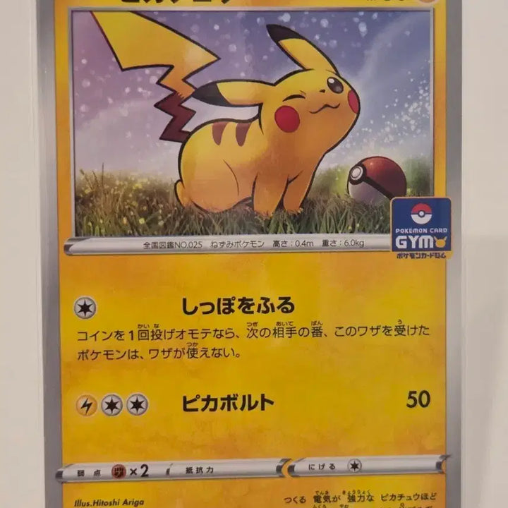 [BUNJANG] Pokémon Card Pikachu (024/S-P) Japanese Gym Promo / "포켓통통"[일판/짐프로모] 포켓몬 카드 피카츄 짐 프로모 Pikachu (024/S-P)