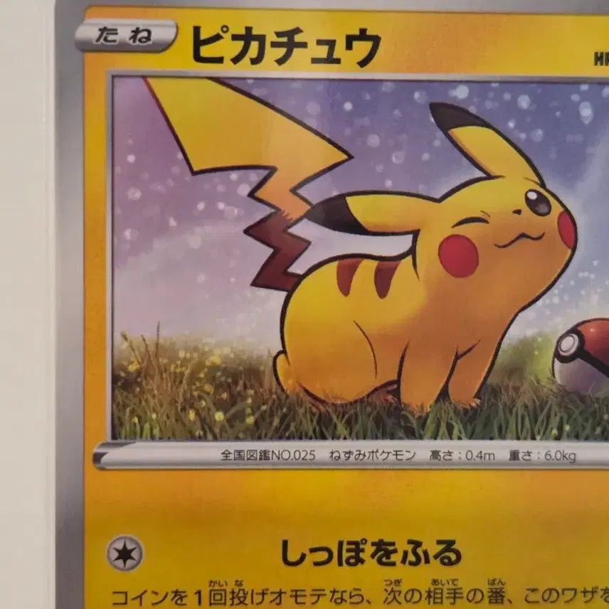 [BUNJANG] Pokémon Card Pikachu (024/S-P) Japanese Gym Promo / "포켓통통"[일판/짐프로모] 포켓몬 카드 피카츄 짐 프로모 Pikachu (024/S-P)