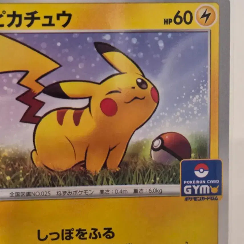 [BUNJANG] Pokémon Card Pikachu (024/S-P) Japanese Gym Promo / "포켓통통"[일판/짐프로모] 포켓몬 카드 피카츄 짐 프로모 Pikachu (024/S-P)