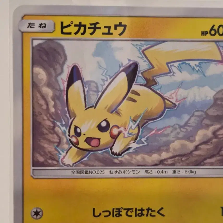 [BUNJANG] Pokemon Card Pikachu Radiant Legend (sm3N 013/051 C) Japanese / "포켓통통"[일판/일본판/등급용퀄리티] 포켓몬 카드 썬앤문 피카츄 Pikachu / 빛나는 전설 (sm3N 013/051 C)