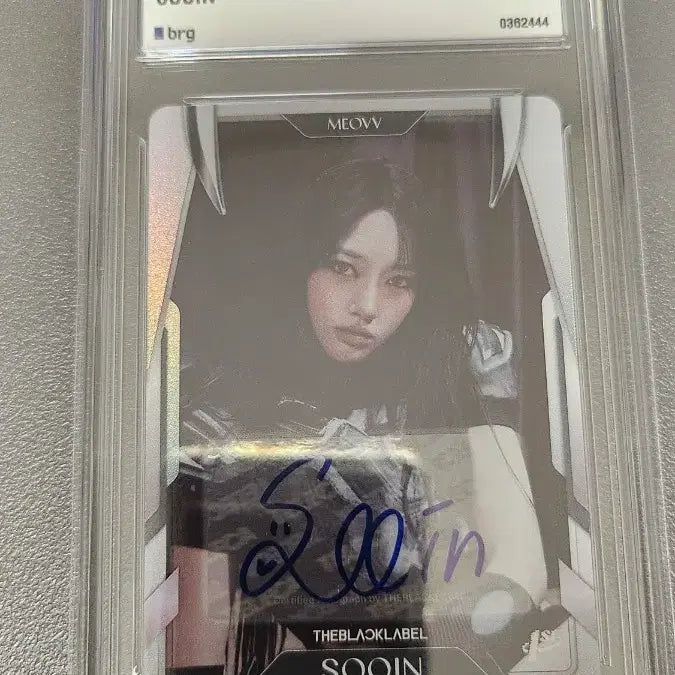 [BUNJANG] Terje Miao Autograph / 테레카 미야오 수인 한정 친필 사인 오토그래프 팝니다.