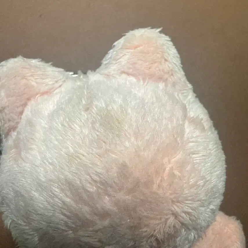 [BUNJANG] NCT Jaehyun Jen-Nyangi Photocard / nct 재현 잰냥이
