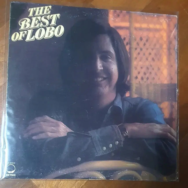 [BUNJANG] LOBO Best LP Vinyl Record / 로보 LOBO 베스트lp