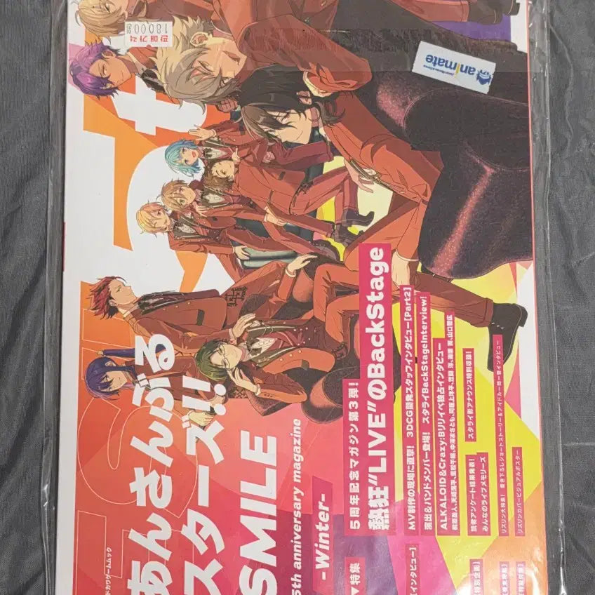 [BUNJANG] Ensemble Stars Fanbook &amp; Magazine Bundle Set / 앙스타 팬북 및 잡지 일괄 판매