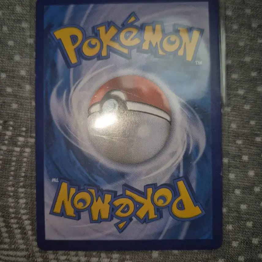 [BUNJANG] Kingdra CHR Album Card / 킹드라 CHR 앨범용