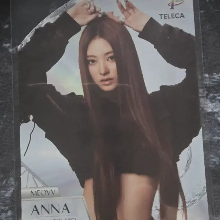 [BUNJANG] Miyau Anna Tereca Dycutt SP / 미야오 안나 테레카 다이컷 SP 양도