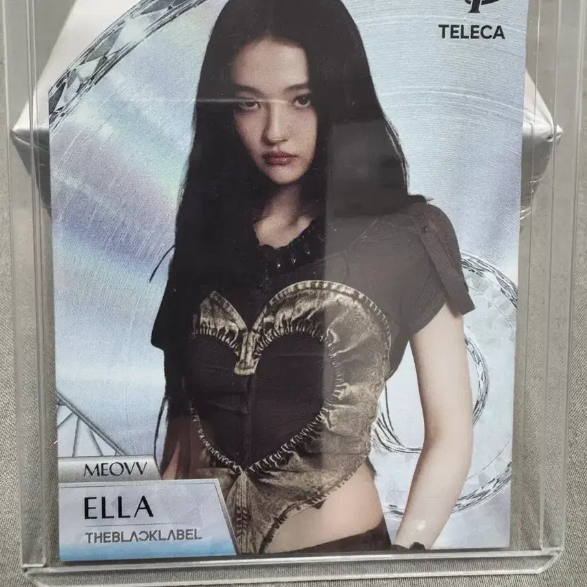 [BUNJANG] Terreka Miyaho Ella Die Cut / 테레카 미야오 엘라 다이컷