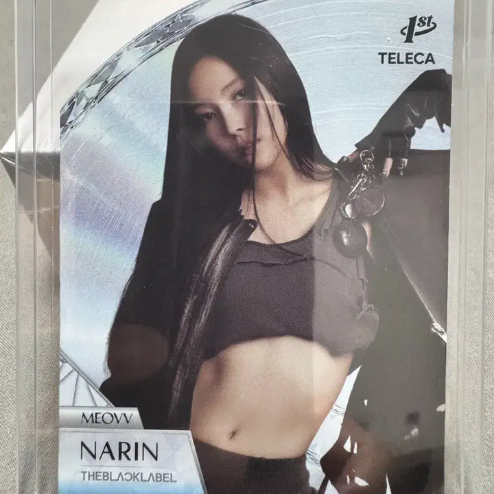 [BUNJANG] TeruTeru Miyama Nalin Die-cut / 테레카 미야오 나린 다이컷
