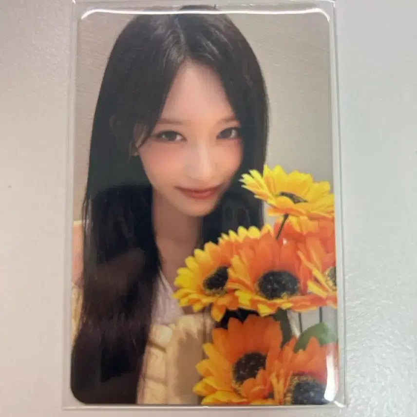 [BUNJANG] IVE Rei Lizy Yujin Wonyoung Leeseo Empathy Switch Secret Photocard / 아이브 리바이브 시크릿 엠파시 스위치 시세킹 원영유진 가을레이리즈이서 포카양도