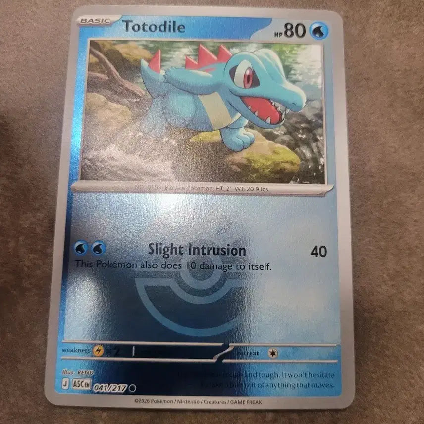 [BUNJANG] Pokemon Card North America Toto Dok 041/217 / 포켓몬카드 북미 토토독 041/217
