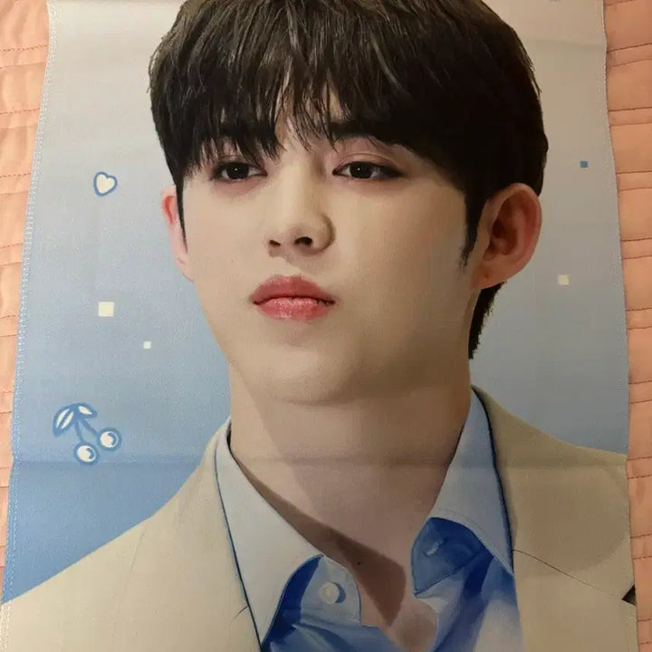 [BUNJANG] SEVENTEEN S.COUPS Slogan / 세븐틴 에스쿱스 슬로건
