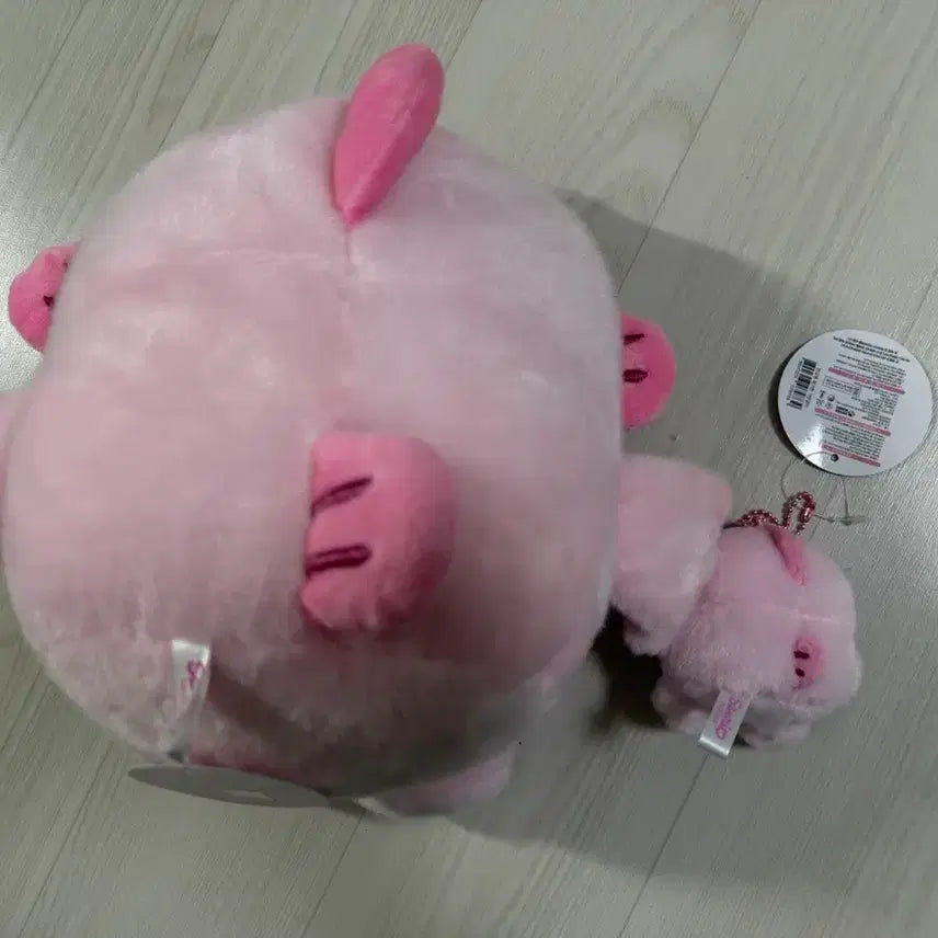 [BUNJANG] Sanrio Hangyodon Pink Cherry Blossom Plush Set (25cm, 8cm) / (2개 세트) 산리오 핑크톤 벚꽃 한교동 25cm 8cm 인형 키링
