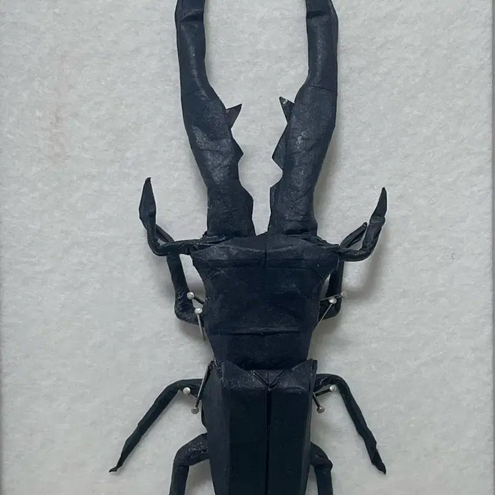 [BUNJANG] Origami Metalipher Stag Beetle Specimen / 한장 종이접기 메탈리퍼 사슴벌레 표본