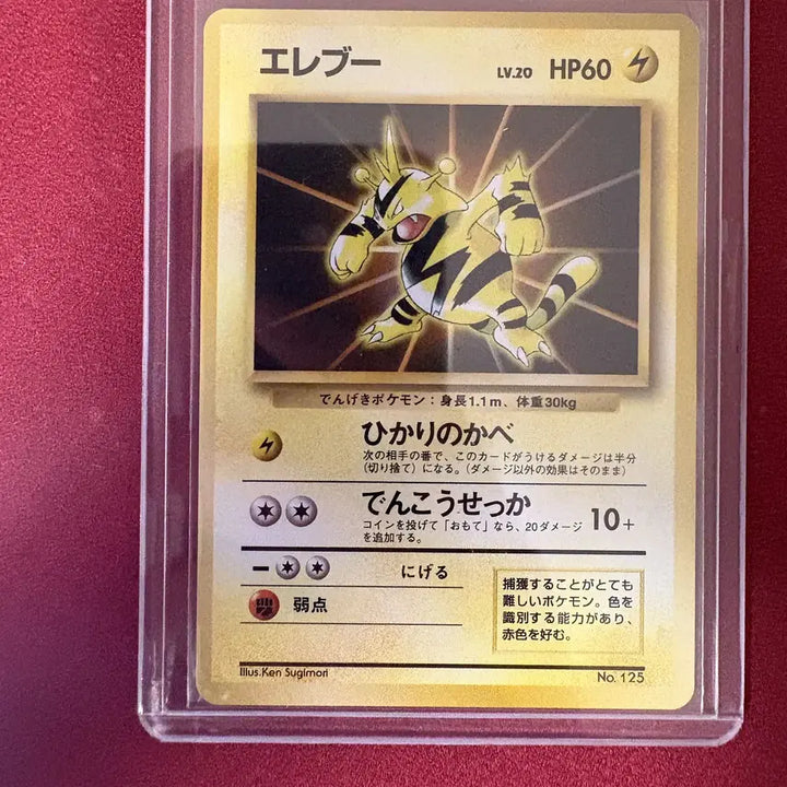 [BUNJANG] Pokemon Card Single - First Edition / 일판 초판 에레키 포켓몬카드 싱글