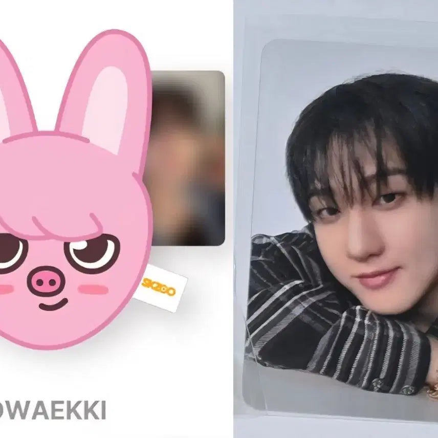 [BUNJANG] Stray Kids SKZOO DarakDarak Plush Magnetic Holder Grip Tok Changbin / 스키즈 디스앤댓 팝업 돼끼 플러시 마그네틱 홀더 그립톡 창빈 3만원