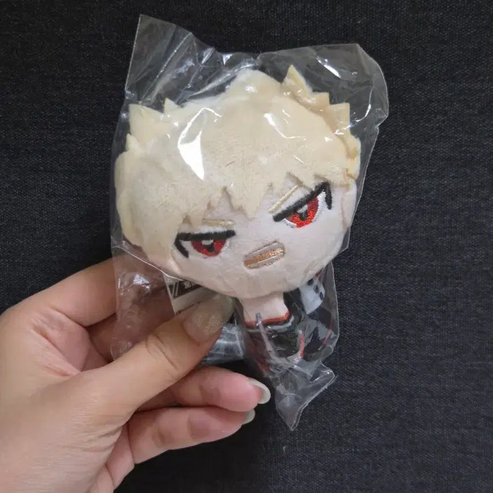 [BUNJANG] My Hero Academia Bakugo Tete Kore (Sealed) / (미개봉) 나히아 히로아카 테테코레 바쿠고