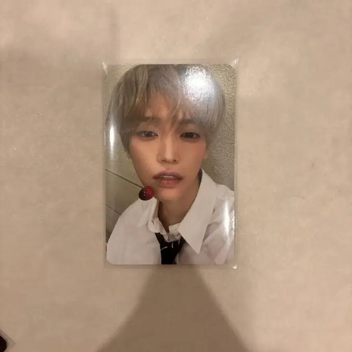 [BUNJANG] Zhang Han Yun Daydream Wanna Cherry Photocard / 장한음 데이드림 워너 체리 포토카드 포카 미공포 퍼스트뮤직 퍼뮤