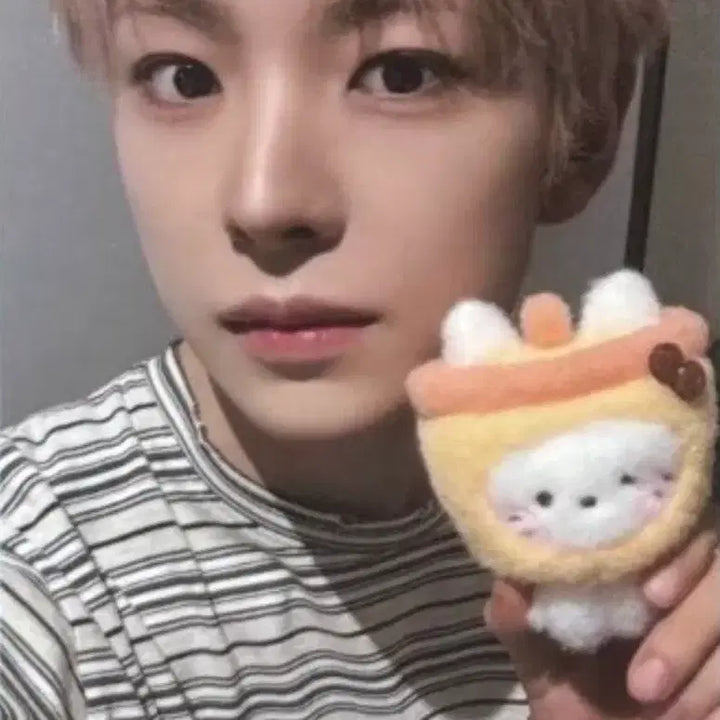 [BUNJANG] NCT WISH Wishniyi Bubble Catniyi Plush Keychain Yushi Photocard / 엔시티위시 위시니니 버블냥니 플러쉬 키링 포카 유우시