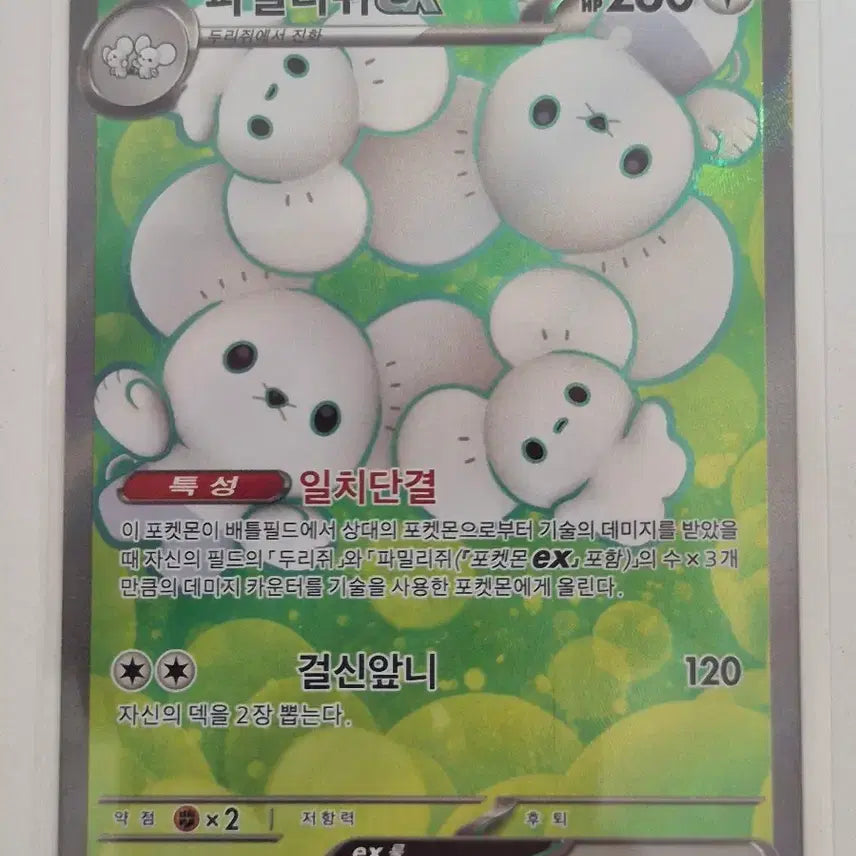 [BUNJANG] Pokemon Card "Family&