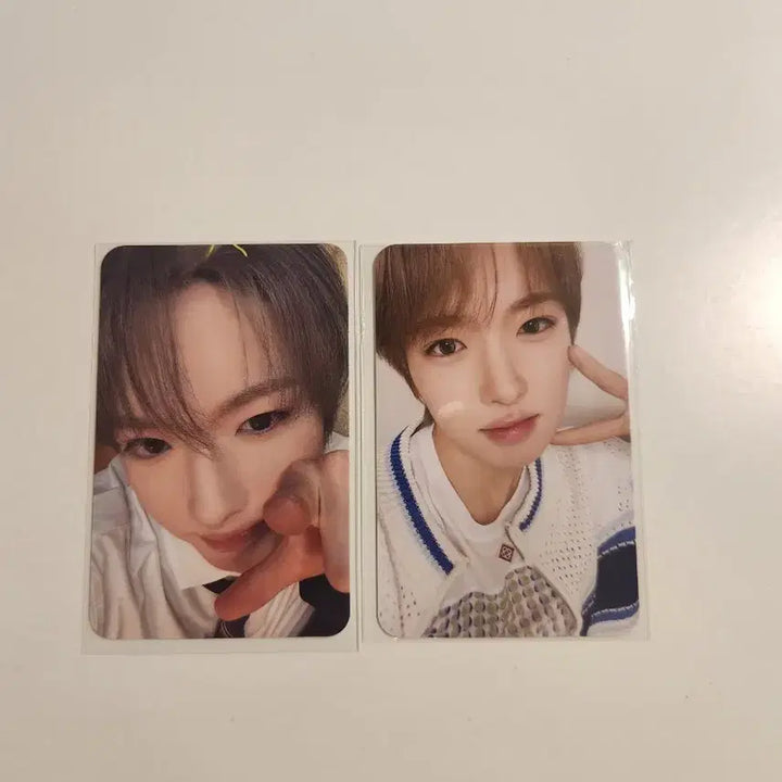 [BUNJANG] NCT WISH Sakuya Yoidon Bomi Girl Photocard Set / 엔시티위시 사쿠야 요이돈 보및걸 포카