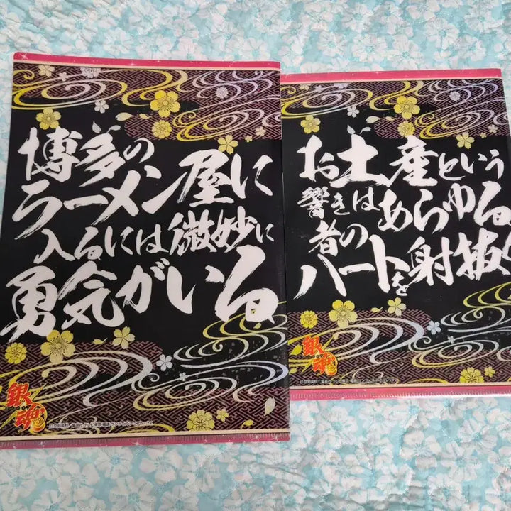 [BUNJANG] Gintama Fukuoka Limited Edition Clear File Set / [일괄] 은혼 지역한정 클리어파일 후쿠오카