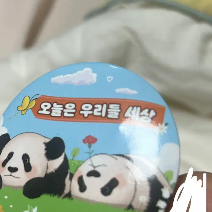 [BUNJANG] Everland Fu Bao Celadon Porcelain Badge / 푸바오 에버랜드 뱃지 캔뱃지