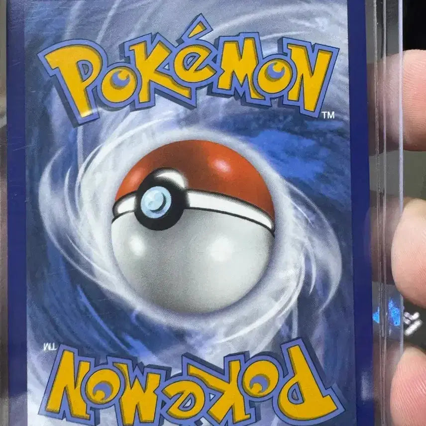 [BUNJANG] Pokemon Eevee English Version Promo Card / 포켓몬카드 이브이 프로모 영문판