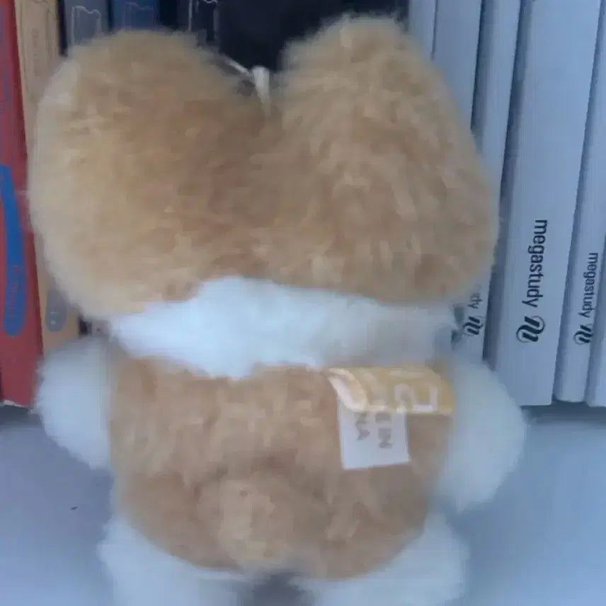 [BUNJANG] Fuzzy Tassel Keychain / 터래기 키링
