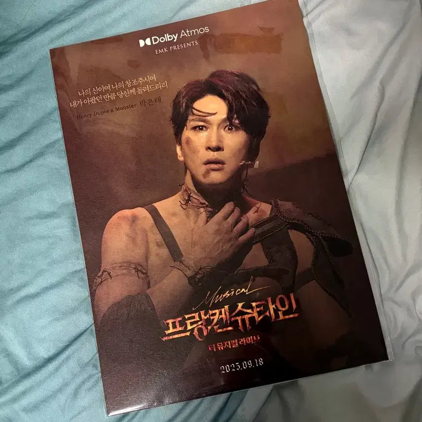 [BUNJANG] Frankenstein: The Musical Live Park Eun-tae Large Poster / <프랑켄슈타인: 더 뮤지컬 라이브 > 박은태 대형 포스터
