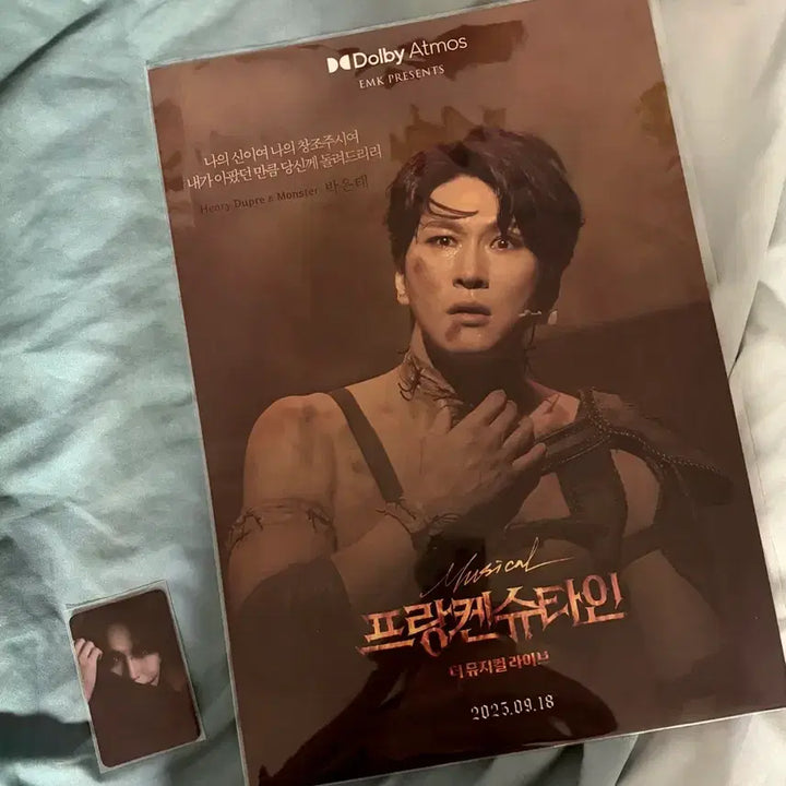 [BUNJANG] Frankenstein: The Musical Live Park Eun-tae Large Poster / <프랑켄슈타인: 더 뮤지컬 라이브 > 박은태 대형 포스터